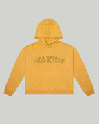 1-800-Boys-Lie Hoodie